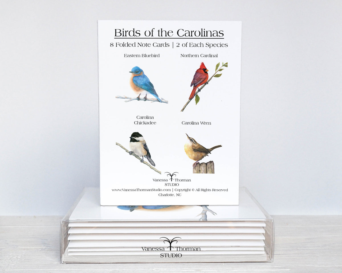 Birds of the Carolinas notecard set packaged and ready for gifting
