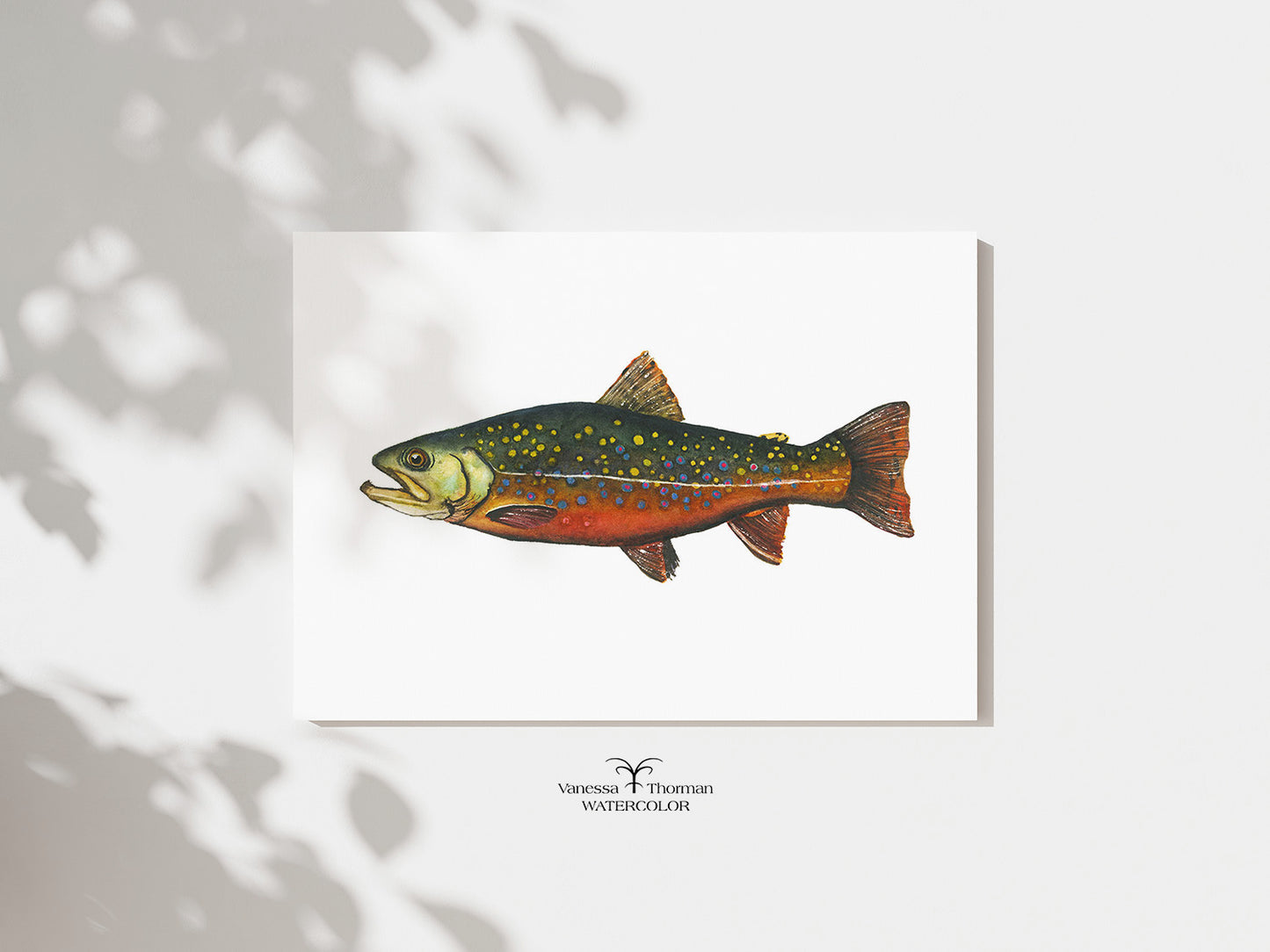 Detail view of Brook Trout watercolor art print by Vanessa Thorman