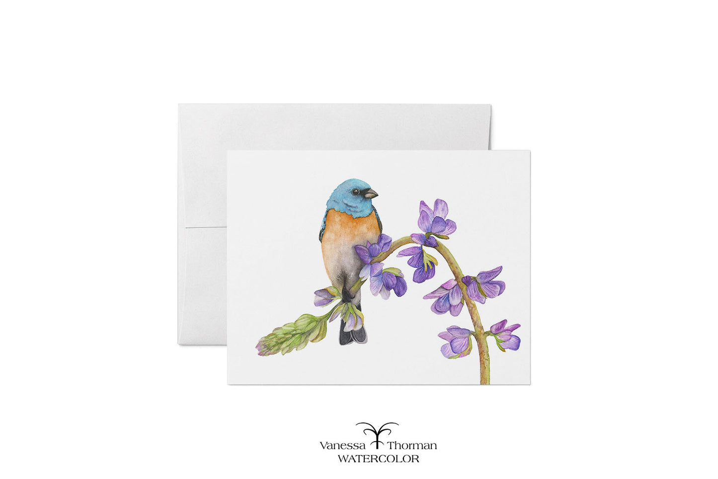 Bunting in Bloom watercolor notecard featuring a Lazuli Bunting by Vanessa Thorman