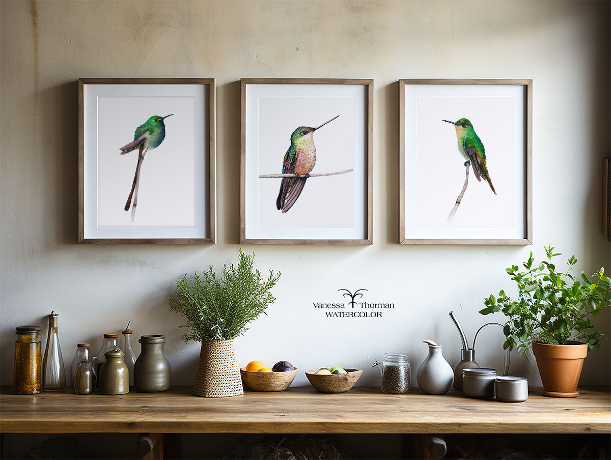 Three framed hummingbird watercolor art prints displayed together in a kitchen, including Calliope Hummingbird