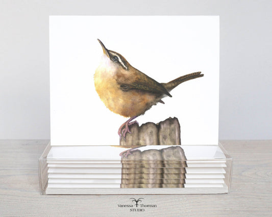 Carolina Wren watercolor notecard set with 8 blank folded cards ready for gifting