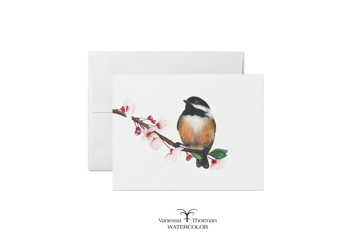 Chickadee in Bloom watercolor notecard featuring a Black-Capped Chickadee by Vanessa Thorman