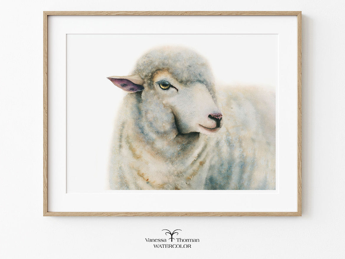 Framed "Duchess" sheep watercolor art print on a white background