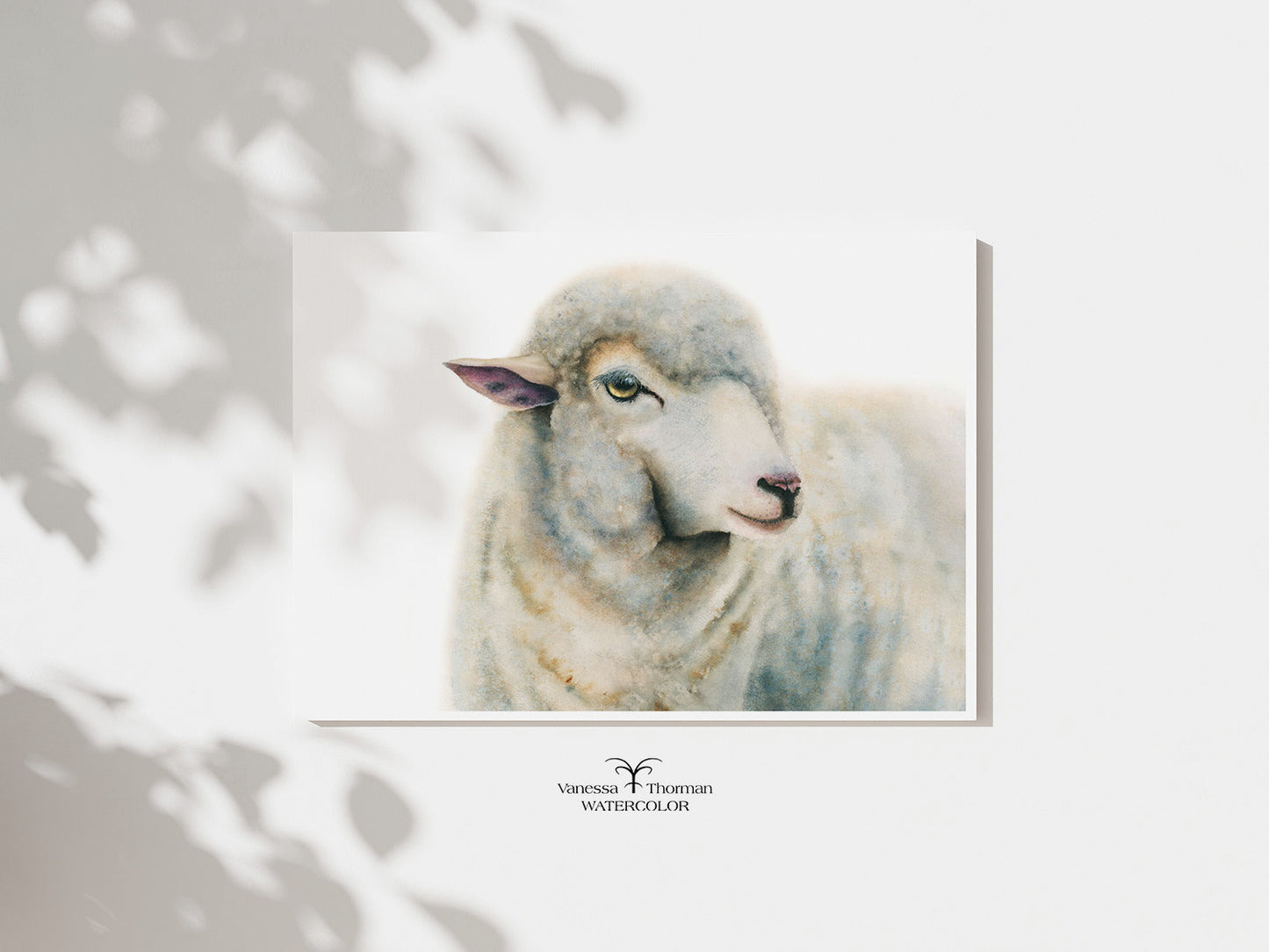 "Duchess" sheep watercolor art print, unframed, by Vanessa Thorman