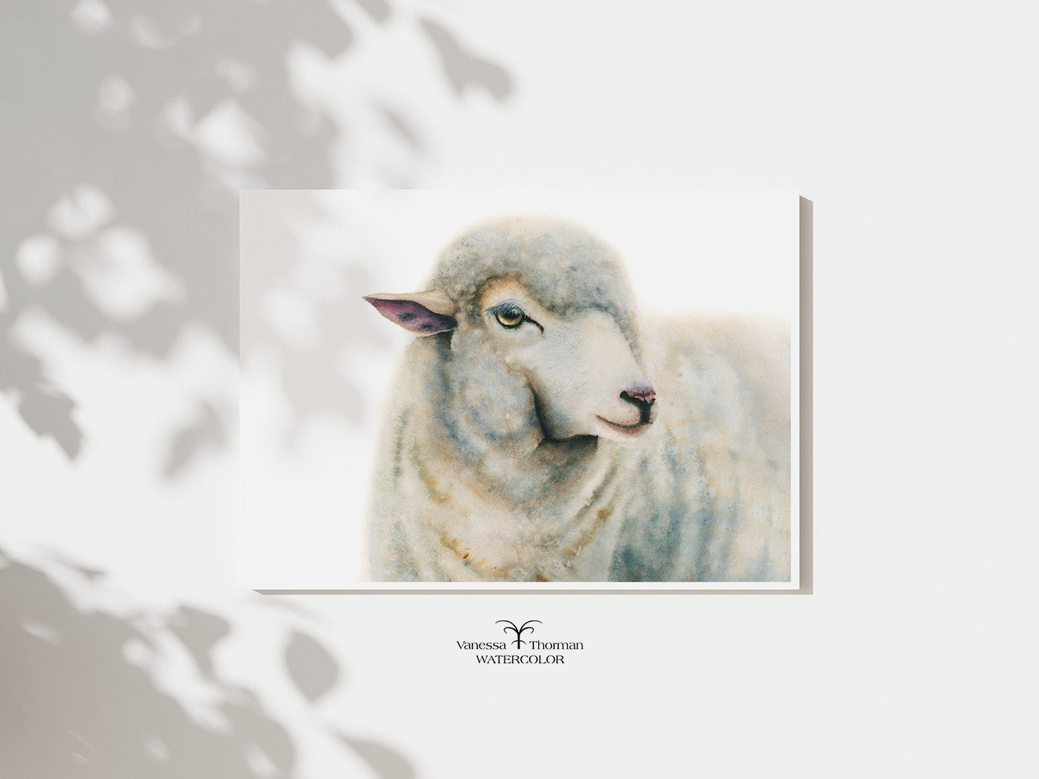 "Duchess" sheep watercolor art print, unframed, by Vanessa Thorman