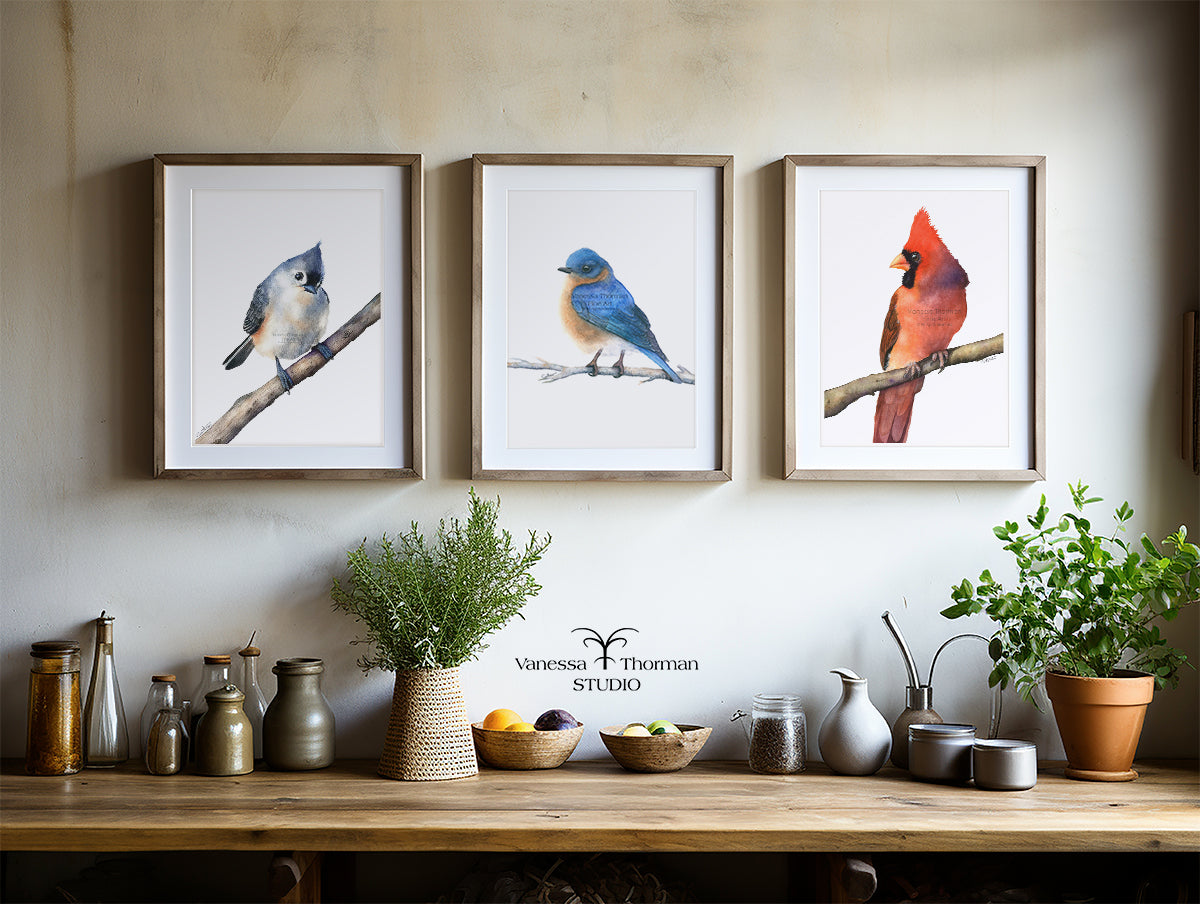 Three framed bird watercolor art prints displayed together in a kitchen, including Eastern Bluebird
