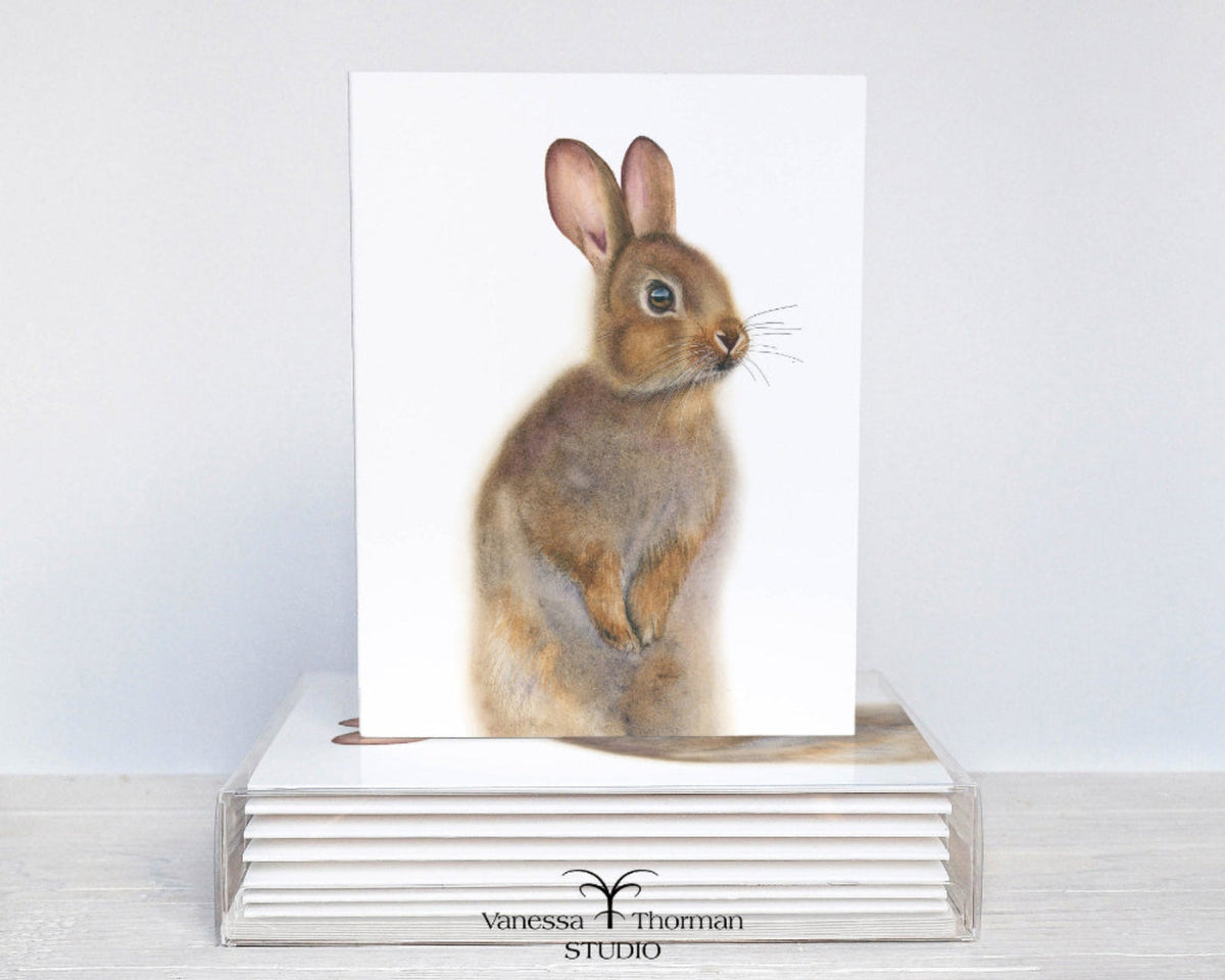 Eastern Cottontail Rabbit watercolor notecard set with 8 blank folded cards ready for gifting