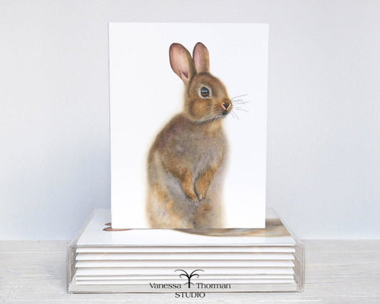 Eastern Cottontail Rabbit watercolor notecard set with 8 blank folded cards ready for gifting