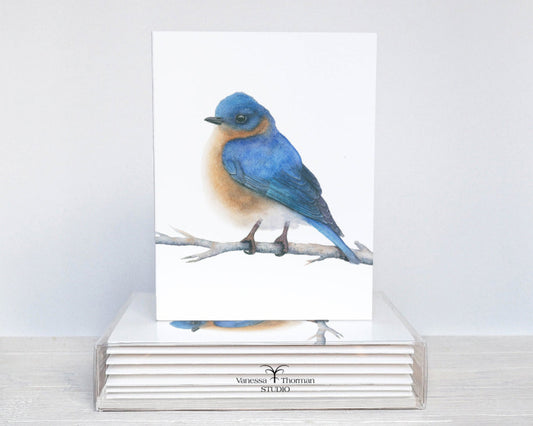 Eastern Bluebird watercolor notecard set with 8 blank folded cards ready for gifting