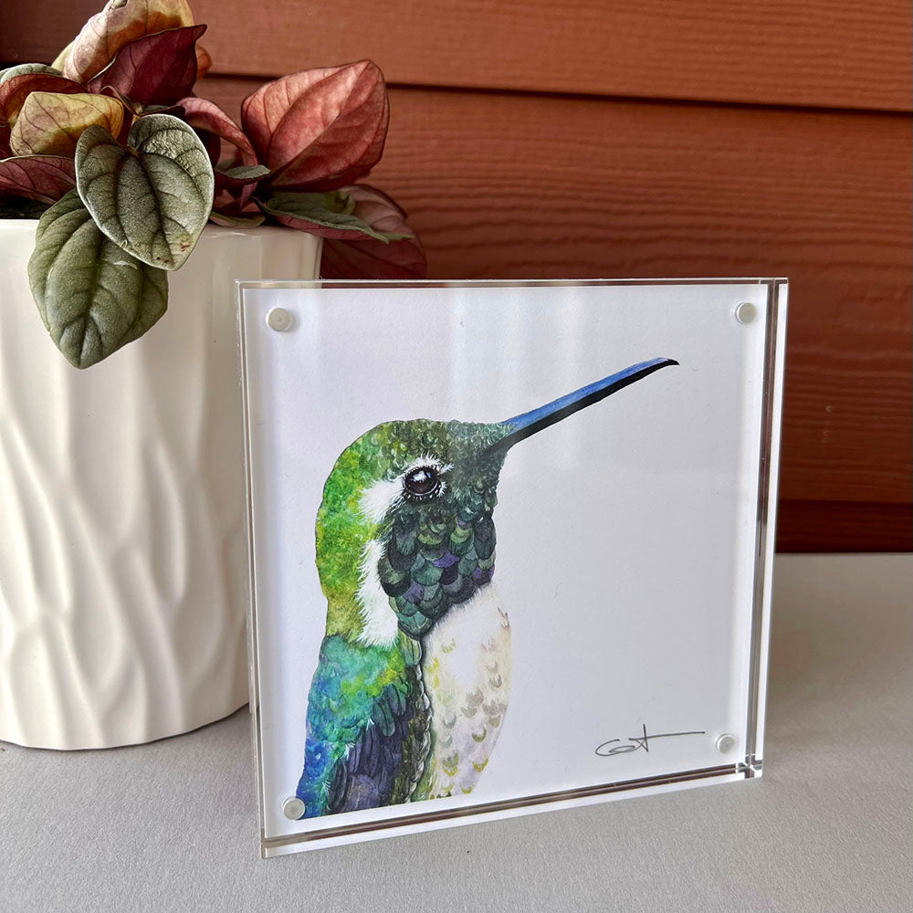 Alternate view of Vincent the green hummingbird acrylic block art print