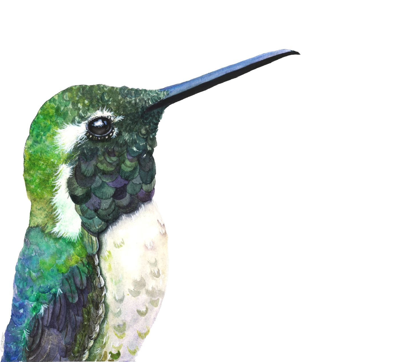 Detailed view of Vincent the green hummingbird acrylic block art print