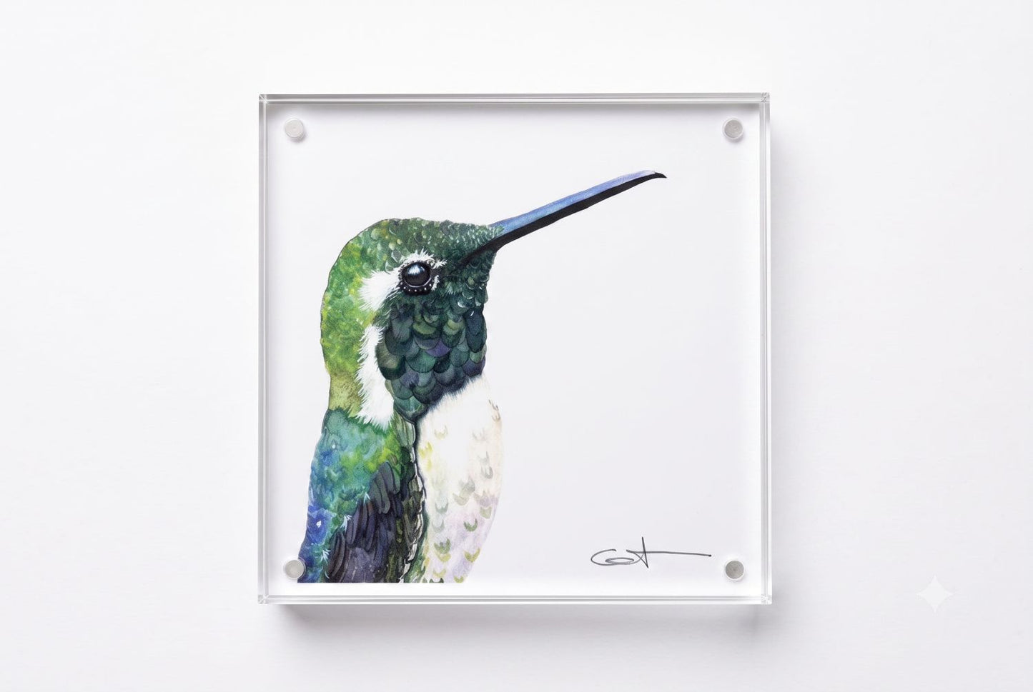Vincent the green hummingbird acrylic block art print, front view