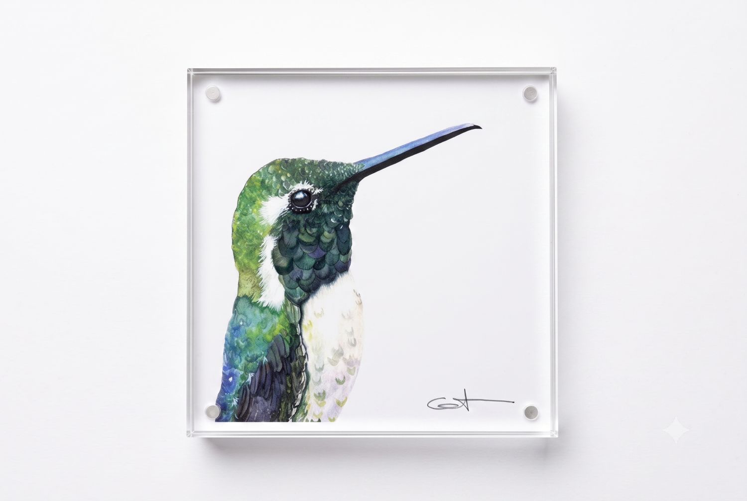 Vincent the green hummingbird acrylic block art print, front view