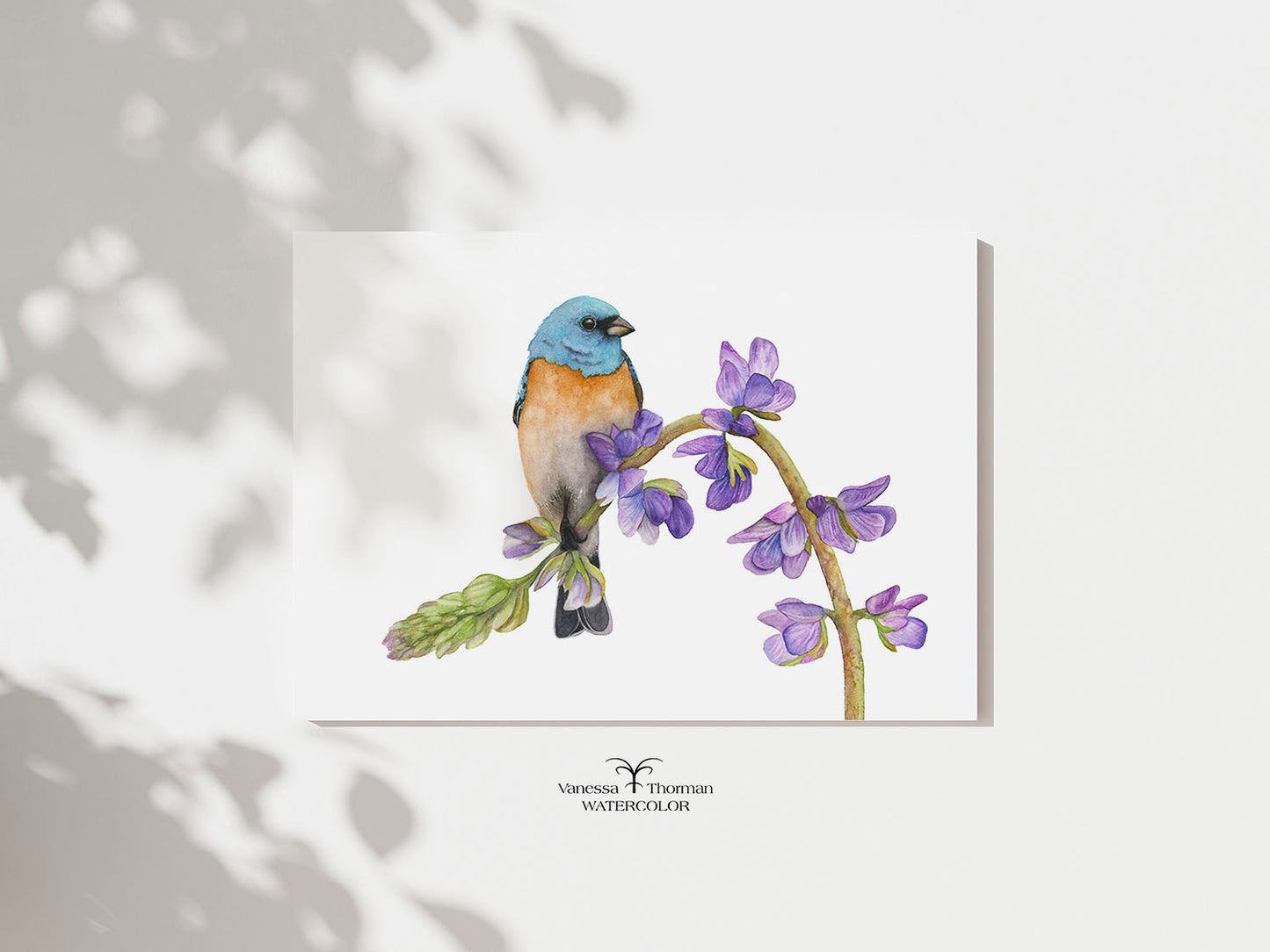 "Bunting in Bloom" Lazuli Bunting watercolor art print, unframed, by Vanessa Thorman