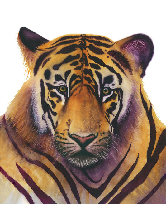 "Noble" Bengal tiger watercolor art print by Vanessa Thorman