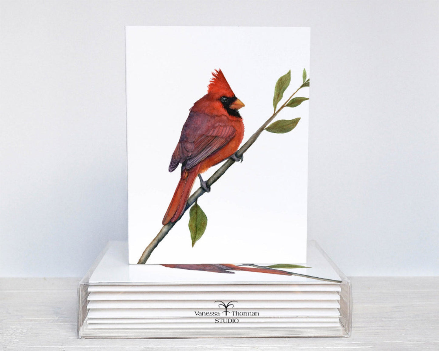 Northern Cardinal watercolor notecard set with 8 blank folded cards ready for gifting