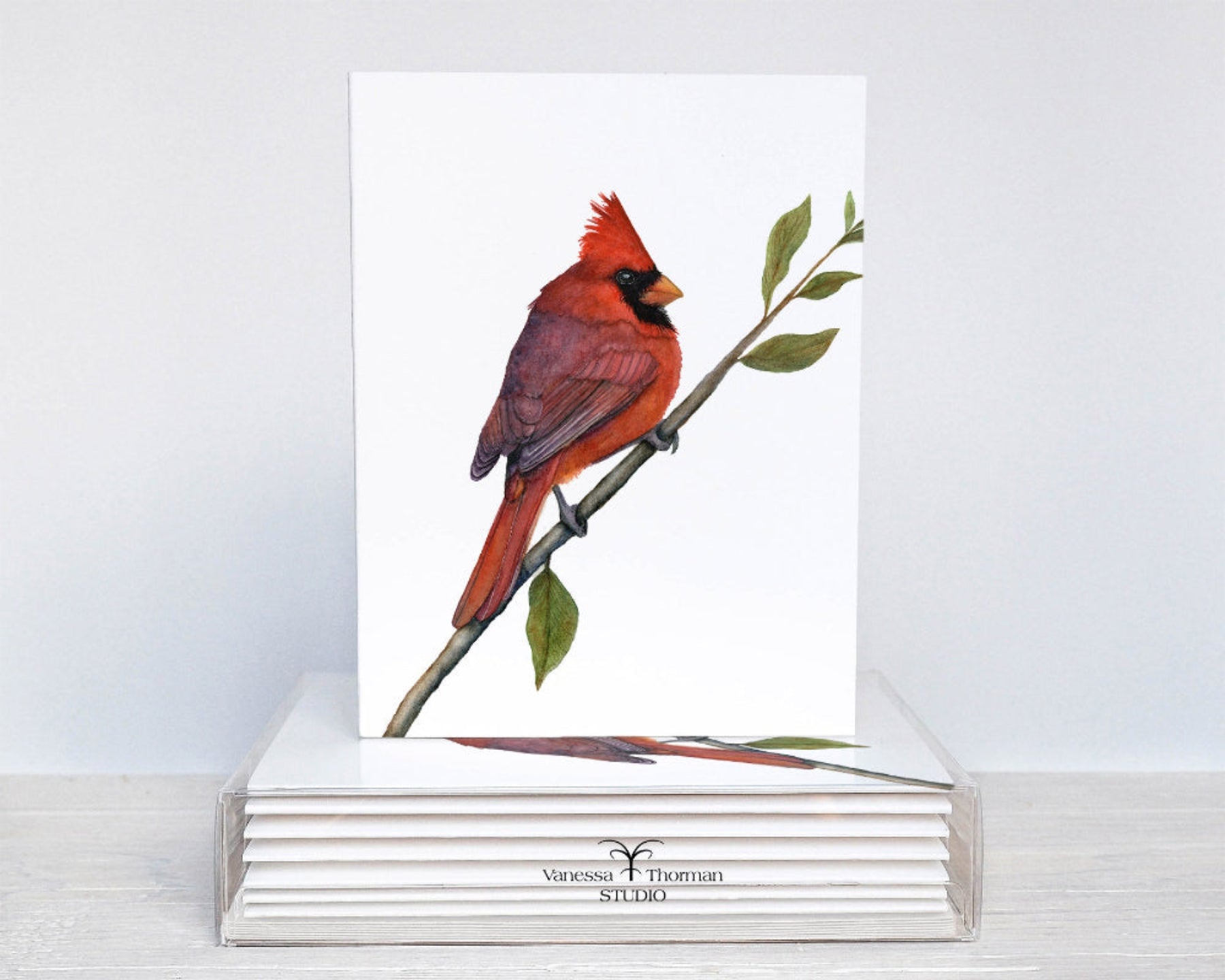 Northern Cardinal watercolor notecard set with 8 blank folded cards ready for gifting