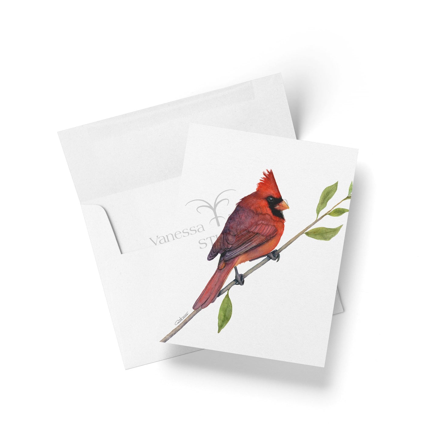 Watercolor notecard featuring a Northern Cardinal by Vanessa Thorman