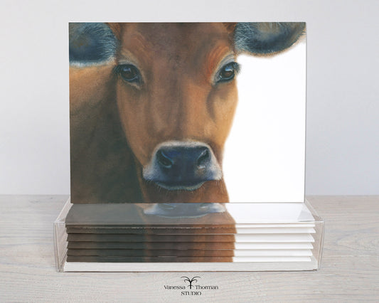Owen the Jersey Cow watercolor notecard set with 8 blank folded cards ready for gifting