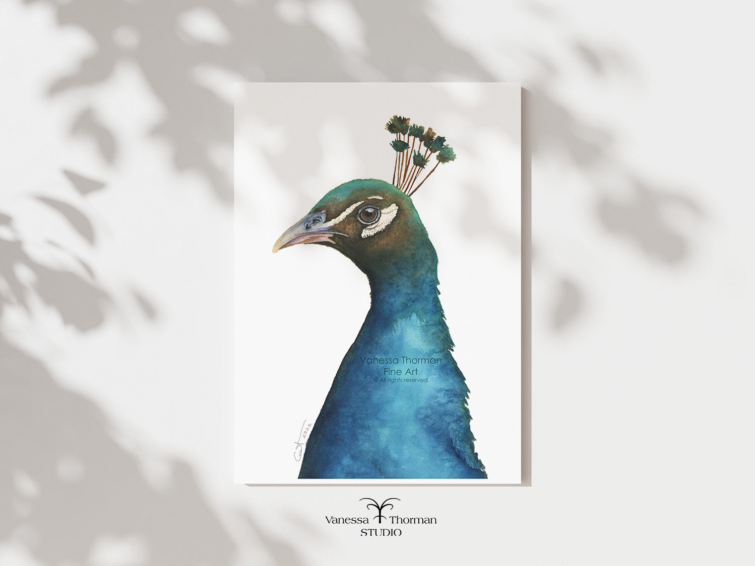 peacock portrait watercolor art print on a white background