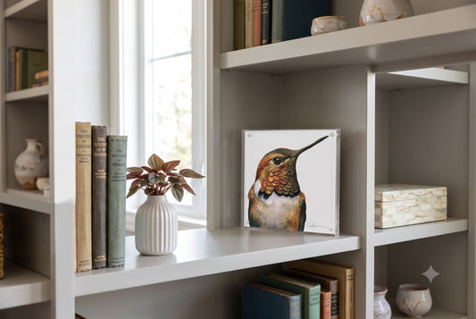 Rufus the Rufous Hummingbird acrylic block art print displayed on a bookshelf
