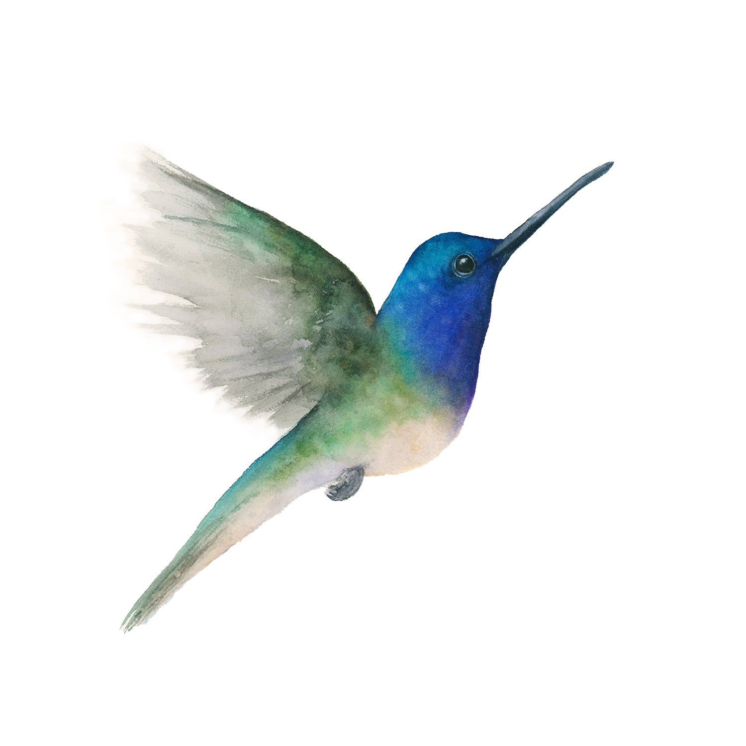 Sapphire the Hummingbird acrylic block art print, detailed view