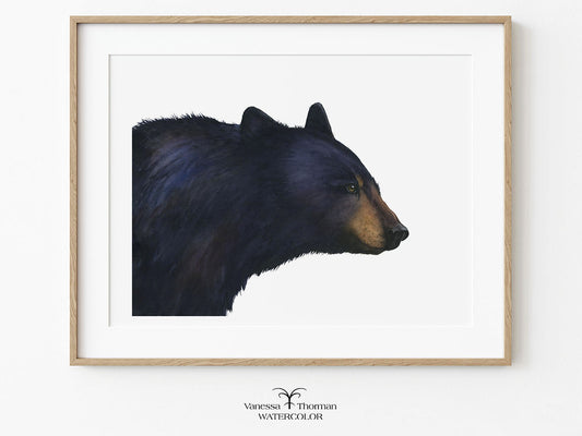 Framed "Shenandoah" black bear watercolor art print on a white background by Vanessa Thorman