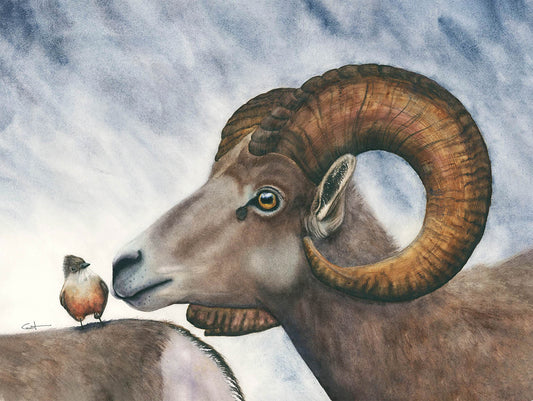 Detailed view of "Small Talk" bighorn sheep watercolor art print by Vanessa Thorman