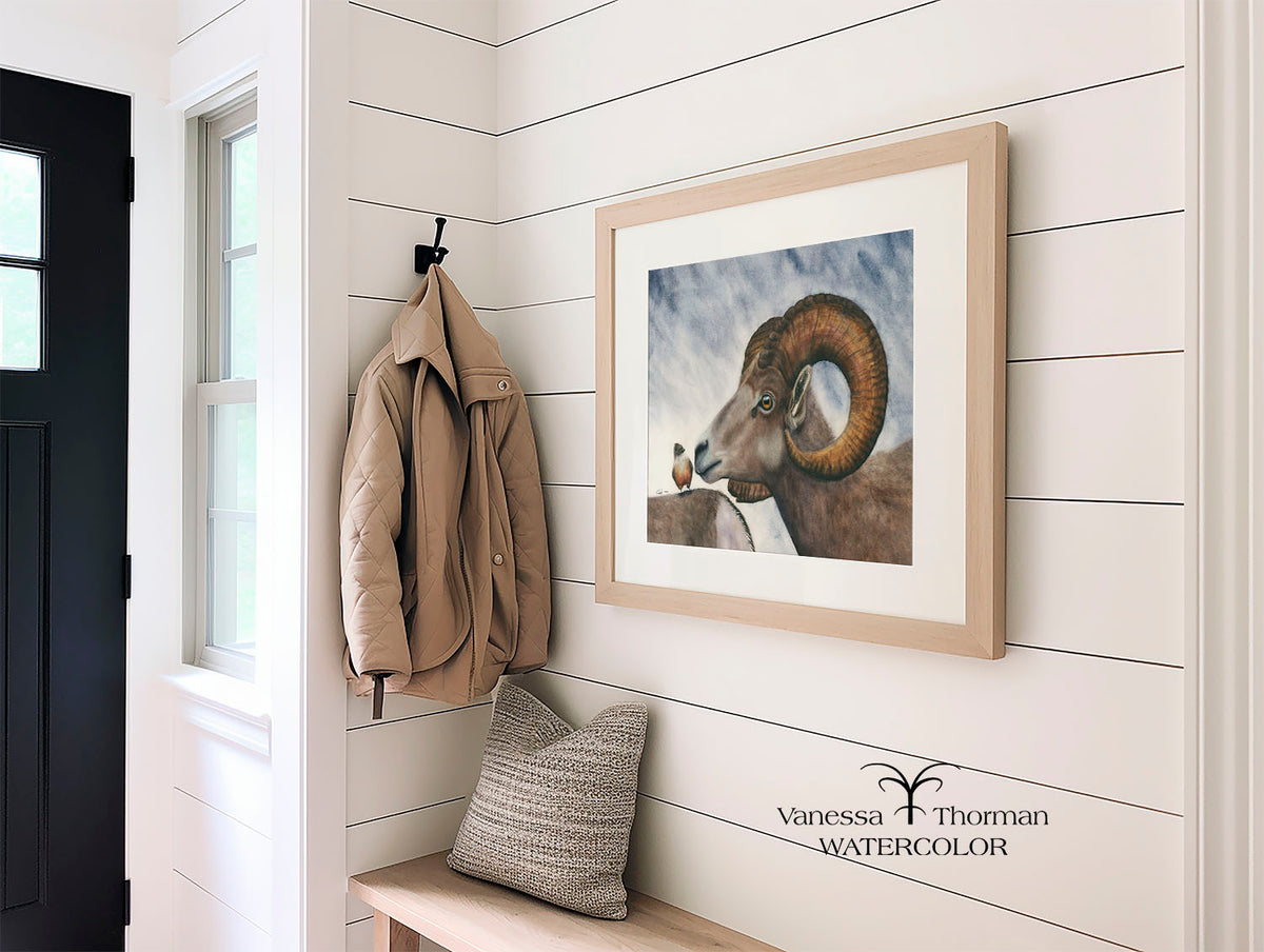 Framed "Small Talk" bighorn sheep watercolor art print hanging in an entryway