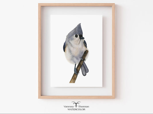 Framed "Tufted Titmouse 2" watercolor art print by Vanessa Thorman