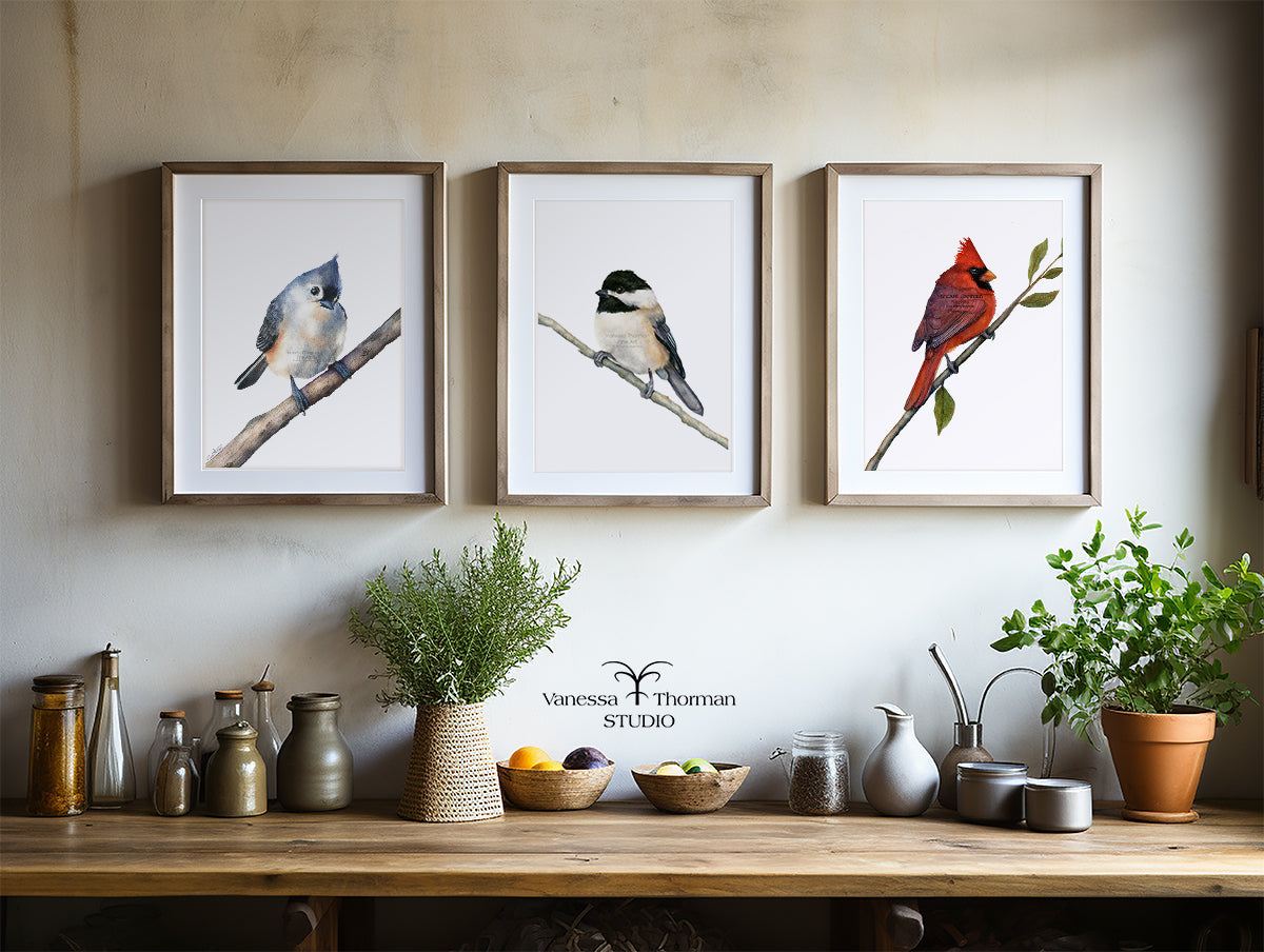 Three framed watercolor bird prints in a kitchen, including Tufted Titmouse, Chickadee, and Northern Cardinal