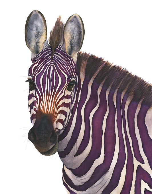Close-up of "Violeta" purple zebra watercolor art print by Vanessa Thorman