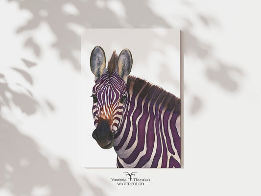 "Violeta" purple zebra watercolor art print, unframed, by Vanessa Thorman
