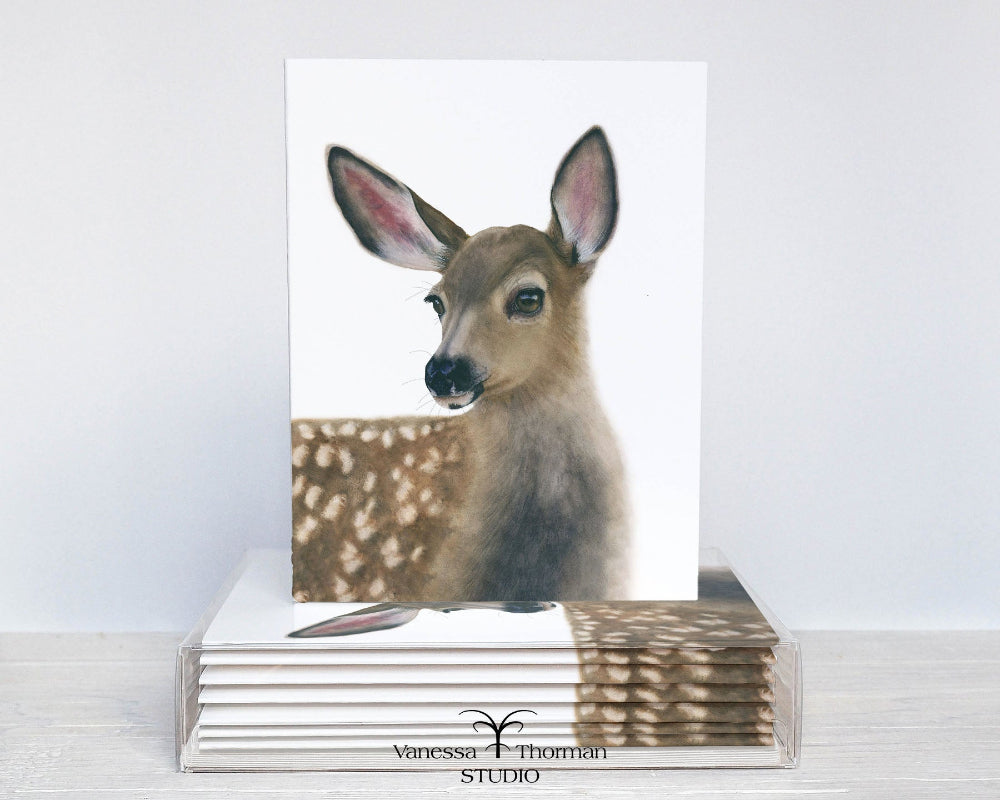 white-tailed fawn notecard set with 8 folded blank cards and envelopes ready for gifting