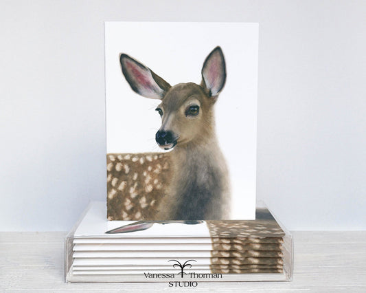 white-tailed fawn notecard set with 8 folded blank cards and envelopes ready for gifting