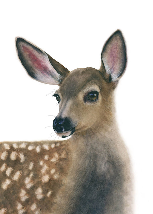 Close-up of White-Tailed Fawn watercolor art print by Vanessa Thorman