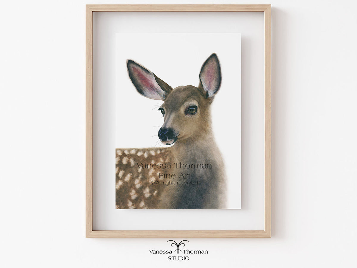 Framed White-Tailed Fawn watercolor art print on a white background by Vanessa Thorman