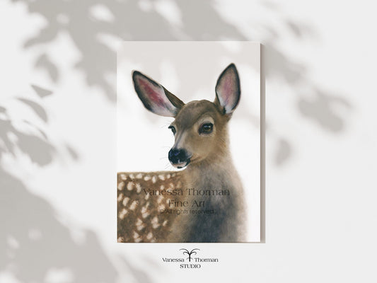 White-Tailed Fawn watercolor art print, unframed, by Vanessa Thorman