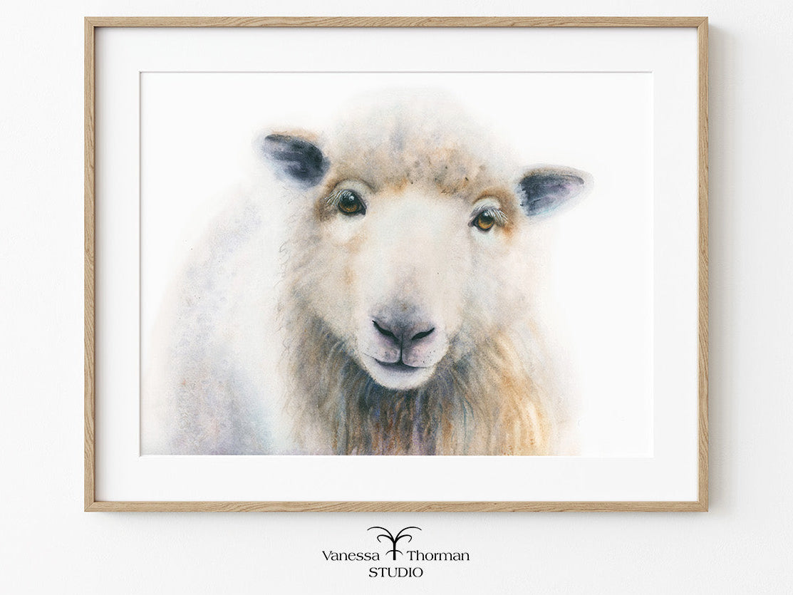 Framed "William" sheep watercolor art print on a white background by Vanessa Thorman