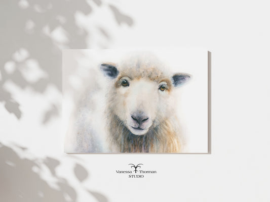 "William" sheep watercolor art print, unframed, by Vanessa Thorman