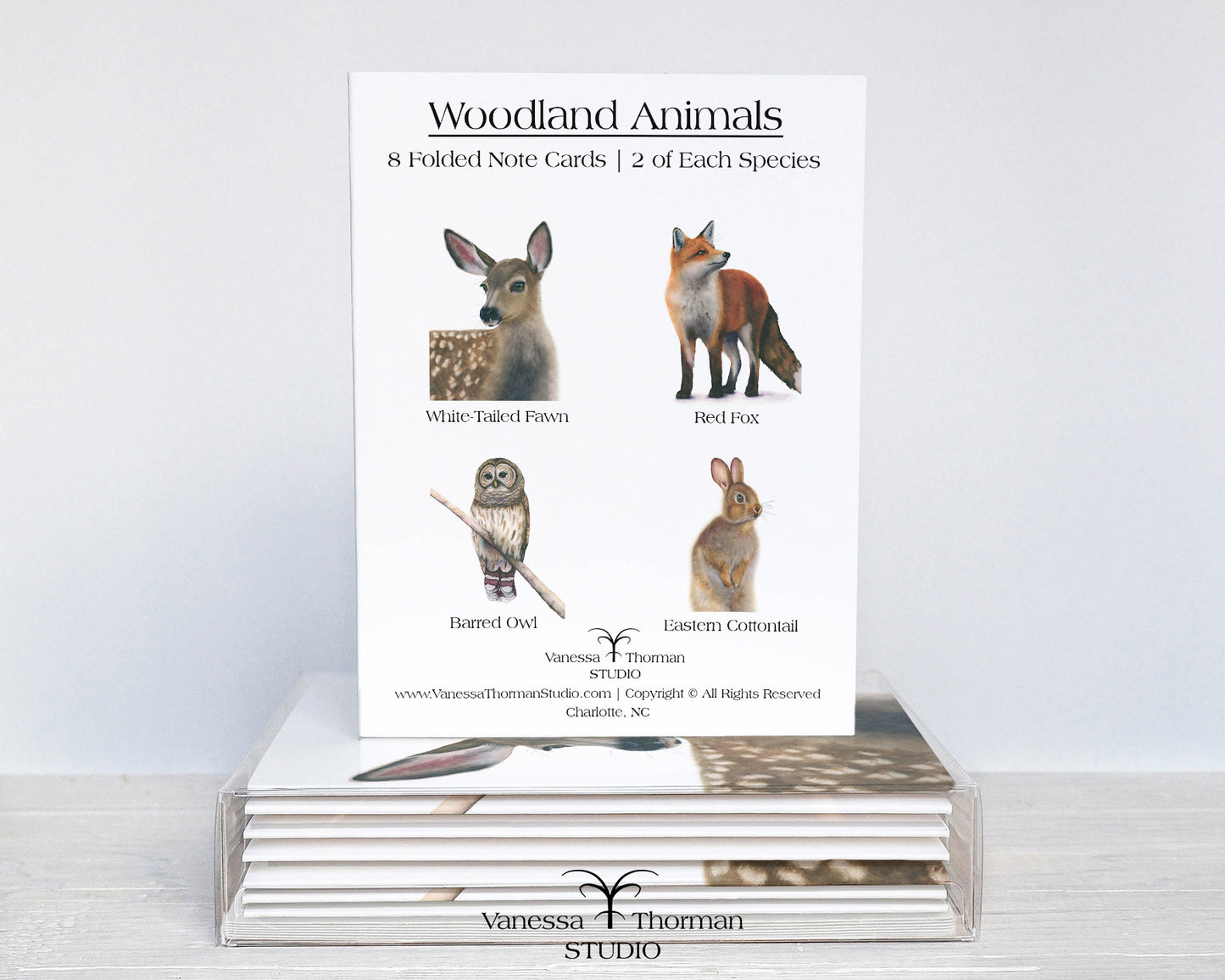 Woodland Animals watercolor notecard set with 8 blank folded cards ready for gifting