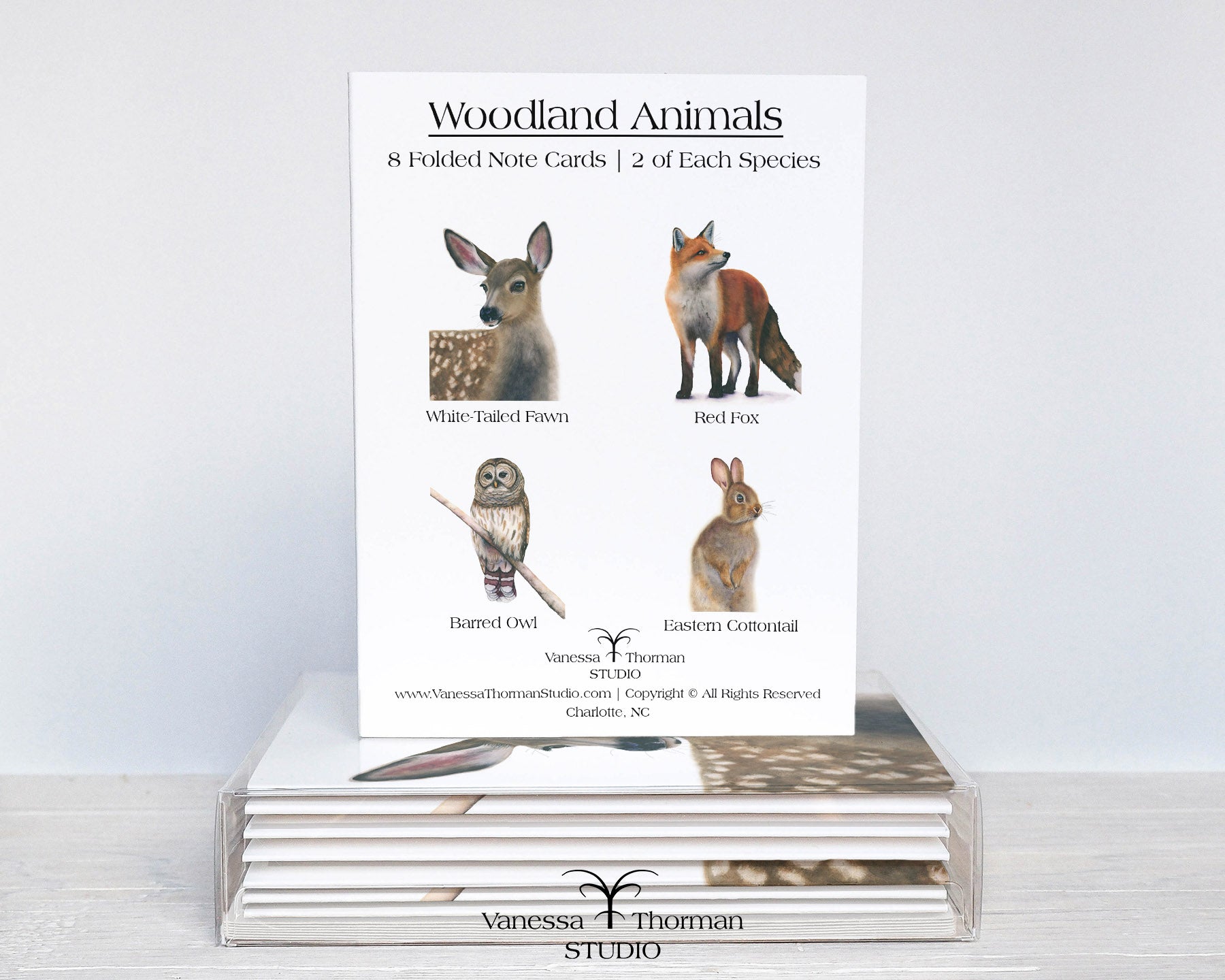 Woodland Animals watercolor notecard set with 8 blank folded cards ready for gifting